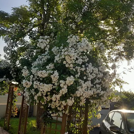 Frühstückspension D'hote La Varenne 3*