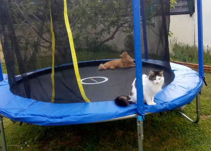 D'hote La Varenne 3* Oree-d'Anjou